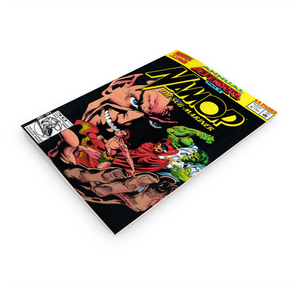 NAMOR Annual 2