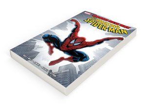 AMAZING SPIDER-MAN: BRAND NEW DAY TPB 2