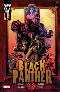 BLACK PANTHER (Vol. 3) 11